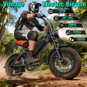 Bicicleta Eléctrica CE UL con Autonomía de 35 Millas, Motor de 500W, Todoterreno, para Desplazamientos en Zonas Rurales, Stock en el Extranjero - Product Image 1