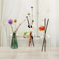 Vase en verre double couche de style nordique, cylindre intérieur coloré, bouteille diffuseur de roseaux en verre, vase hydroponique pour fleurs séchées