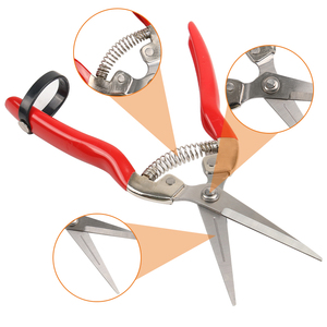 Sécateurs de jardin à poignée en plastique pour bricolage avec poignée antidérapante pour l'<span class=keywords><strong>élagage</strong></span> des buissons de fleurs Roses et arbres fruitiers - Product Image 5