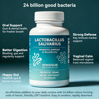 Complément alimentaire en capsules de probiotiques Lactobacillus Salivarius OEM pour la santé immunitaire et le soutien digestif