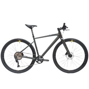 Vélo de route en aluminium léger de 10,8 kg, 700C, fourche rigide en fibre de carbone, 4100-10 vitesses avec réglages multiples - Product Image 5