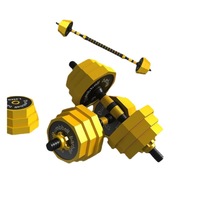 Haltères, barres et kettlebells pour hommes – Ensemble d'entraînement compact en ABS pour la maison et les dortoirs – Équipement de fitness réglable – Une paire – Chine