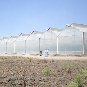 Invernaderos Agrícolas Multi-Span al por Mayor, Película Transparente de PE de Doble Capa, Larga Duración, Engrosada, Tamaño Personalizable, Sin Goteo - Product Image 5