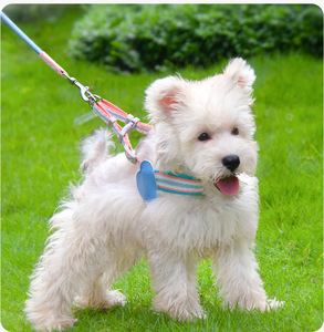 Arnés para Perros y Gatos, de Alta Visibilidad, a Prueba de Escapes, para Caminatas Nocturnas, Duradero, Fácil de Controlar, para Razas Grandes, Medianas y Pequeñas - Product Image 5