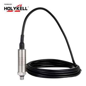 Holykell Máy Bơm Nước Chìm <span class=keywords><strong>HPT603</strong></span> 5M 10M Ren 316L Cảm Biến Mực Nước - Product Image 2