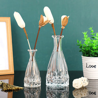 Vase Transparent Glacier créatif sans limites fleurs levées d'eau simples fleurs séchées et plantes vertes Vase de décoration de la maison