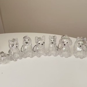 พวงกุญแจอะคริลิกรูปสัตว์น่ารัก สำหรับเก็บขนสัตว์เลี้ยง เป็นของที่ระลึก ของขวัญสำหรับทุกเพศทุกวัย เครื่องประดับเสริมเสน่ห์ - Product Image 2