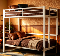 Lits superposés en métal blanc et vert de haute qualité, sur mesure, pour adultes, design moderne, fabricant de mobilier scolaire, vente directe