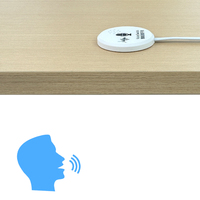 Interrupteur sonore précis 12V 24V hors ligne, interrupteur invisible à reconnaissance vocale, interrupteur intelligent pour éclairage avec commande vocale et contrôle sonore