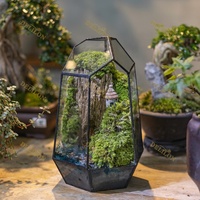 Terrarium en verre pour plantes, mousse préservée, micro-paysage pour la décoration de la maison, du jardin, du bureau ou de la table