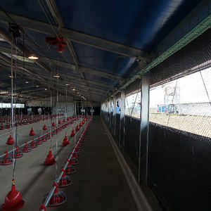 هيكل فولاذي لمزرعة دواجن/مستودع ورشة عمل معدنية بسعر مصنع رخيص مع تصميم - Product Image 3