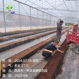 PP Rolls Système de plantation hydroponique pour Hami melon <span class=keywords><strong>Baies</strong></span> Concombre Gingembre Plastiques Cuvette de culture - Product Image 6