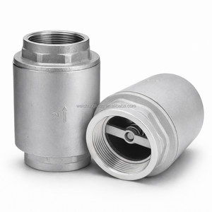 NPT Threaded Stainless Steel Check Valve Spring Type Backflow Preventer 2" for Water Pipeline - Product Image 1