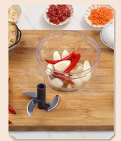 Presse-ail manuel en acier inoxydable pour cuisine, hachoir à légumes, mini-presse à pâte d'ail
