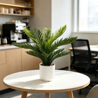 Vente en gros usine : Plante artificielle Cycas Revoluta en pot, faux palmier Sago Bonsaï avec pot blanc pour la décoration de bureau et de table