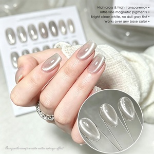 Vernis Gel Magnétique Hema Free Effet Œil de Chat Transparent Paillettes Argentées UV pour Salon et DIY, Gel Effet Œil de Chat Perles de Verre, Logo Personnalisé - Product Image 1
