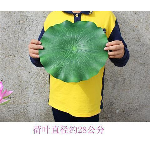 Tapis feuille de lotus de taille moyenne [28cm]