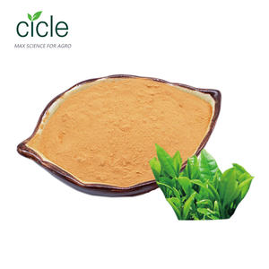 ชาซาโปนินผง60% สารสกัดจากพืชเมล็ดชาซาโปนิน - Product Image 1