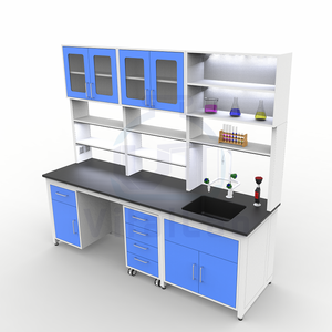 Mesa de Laboratorio con Gabinete Suspendido Certificado <span class=keywords><strong>SEFA</strong></span> 8M, Muebles de Laboratorio Duraderos, Resistencia Química, Banco de Trabajo de Metal, Banco de Trabajo de Acero - Product Image 4