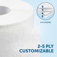 Papier toilette en pâte de bois vierge gaufré par le fabricant, rouleau de papier toilette doux personnalisé à prix abordable