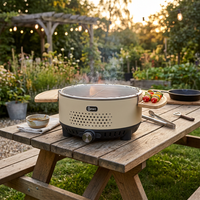 Barbecue portable à gaz pour extérieur, avec étagères latérales, commande par bouton, en acier inoxydable, sans fumée, pour la maison et la terrasse