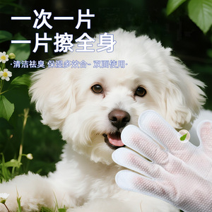 StarFun <b>Pet</b> Cleaning Gloves 6-Pack No-Rinse Waterless Deodorizing For Cats And Dogs - Product Image 1