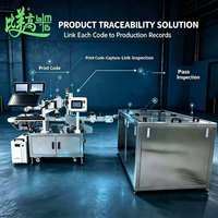Machine de marquage laser UV haute précision 5W-30W avec capture de code réel et inspection des défauts pour l'emballage de produits chimiques quotidiens