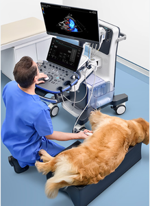 Système d'échographie Doppler couleur 4D Mindray Vetus 7 pour usage vétérinaire avec moniteur LCD couleur de 21,5 pouces pour animaux - Product Image 6