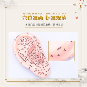 Modelo de oreja de goma de silicona Cloud & Dragon para terapia de acupuntura modelo de oreja china con puntos auriculares - Product Image 3