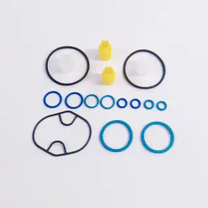 High Quality Common Rail Fuel Pump Repair Kit For CP4-2 Common Rail Pump Seal Kits Parker Seal Kit