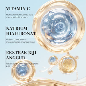 Sérum Visage Éclaircissant et Unifiant le Teint KORMESIC Certifié Bpom, 20ml, Raffermissant et Nourrissant, au Complexe de Myrtille, Vente en Gros - Product Image 5