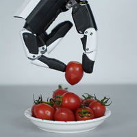 RH56DFTP Bras de robot à vitesse rapide à forte adhérence Main agile Humanoïde Tactile Robots inspirés par la main