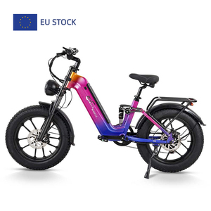 Vélo électrique personnalisé OEM ODM CMACEWHEEL V20 750W 48V 20Ah avec batterie, suspension intégrale, capteur de couple, pneus larges de 20 pouces - Product Image 1