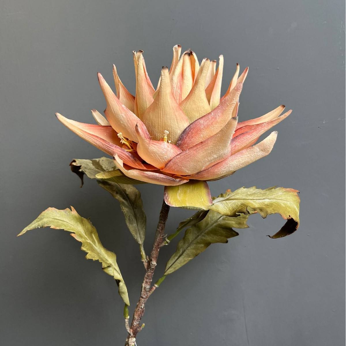 เหลือง 3