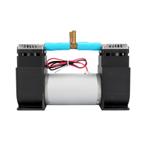 Pompe à vide à piston micro/portable/mini personnalisée HCKG 12V/24V CC 95 Kpa pour la surveillance environnementale