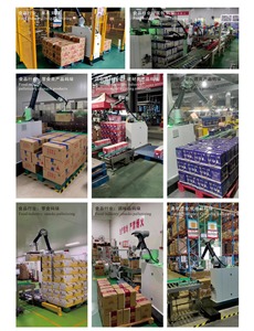 Smart <strong>Robot</strong> Palletizing <strong>Machine</strong> with Compact Modular Design for End-of-Line <strong>Automation</strong> Systems - Product Image 6