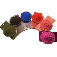 Peinture en poudre de résine polyester pure, couleur RAL, durable, résistante aux chocs