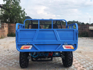 Buggy utilitaire 2 places tout-terrain prêt pour l'aventure avec benne arrière - Product Image 6