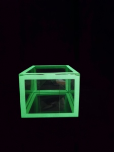 Protetor de Figura de Vinil POP, Filme Protetor Transparente Duro, Fácil de Remover, Brilha no Escuro, Caixa de Brinquedo <span class=keywords><strong>Funko</strong></span> Pop - Product Image 2