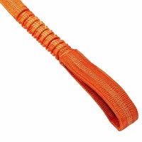 Jouet interactif pour chien, peluche à queue fourrure, corde élastique, bungee, balle, jeu d'extérieur, tirette, nettoyage des dents, pour chiot