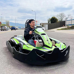 Kart de Gasolina de 4 Tiempos y 200 CC Personalizado para Adultos, Monoplaza, para Carreras y Drifting, para Desafíos Extremos - Product Image 2