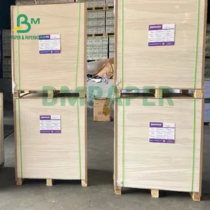 200gsm 230gsm 700mm x 1000mm High Whiteness Virgin Wood Pulp Two Sides Coated Glossy Paper For Brochures