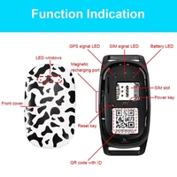 Collier intelligent étanche IP67 anti-perte pour animaux de compagnie, dispositif de localisation GPS 4G mondial à longue autonomie avec alarme sonore et application pour chiens et chats