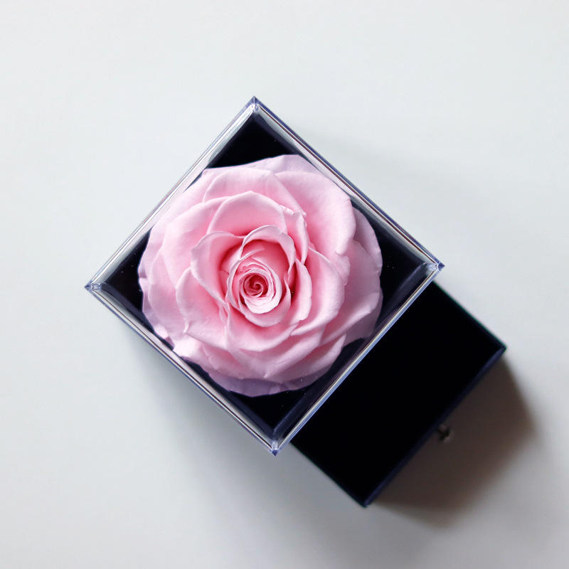 สีชมพูอ่อนไม่มีสร้อยคอ