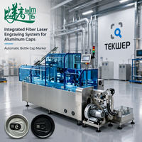 Système de marquage laser à fibre intégré pour bouchons en aluminium, machine de gravure automatique de bouchons de bouteilles DXF/LAS, économie d'énergie
