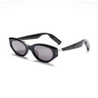 Lunettes de soleil audio intelligentes de pointe avec IA, lunettes de soleil musicales de haute qualité avec traduction, verres polarisés TAC, monture TR, lunettes de soleil intelligentes tendance