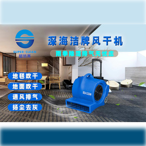 เครื่องเป่าลมแรงสูง 900W 220V-240V สำหรับพรมและพื้นห้องน้ำ - Product Image 5