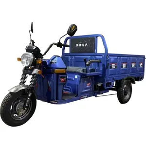 Electric Passenger Three Wheel Motorcycle Made in China CCC Origin Type