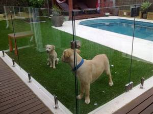 <span class=keywords><strong>Cerniere</strong></span> <span class=keywords><strong>per</strong></span> Porte <span class=keywords><strong>di</strong></span> Recinzione <span class=keywords><strong>per</strong></span> Piscine, Tipo a Molla con Chiusura Morbida <span class=keywords><strong>per</strong></span> Vetri <span class=keywords><strong>di</strong></span> <span class=keywords><strong>Sicurezza</strong></span> - Product Image 6