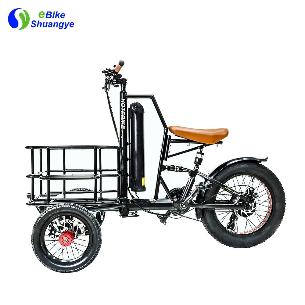 Erwachsene 3 Rad Fett Reifen Elektro fahrrad 250W 350W 500W 750W Elektro Dreirad Motorrad 36V 48V Fracht E-Bike